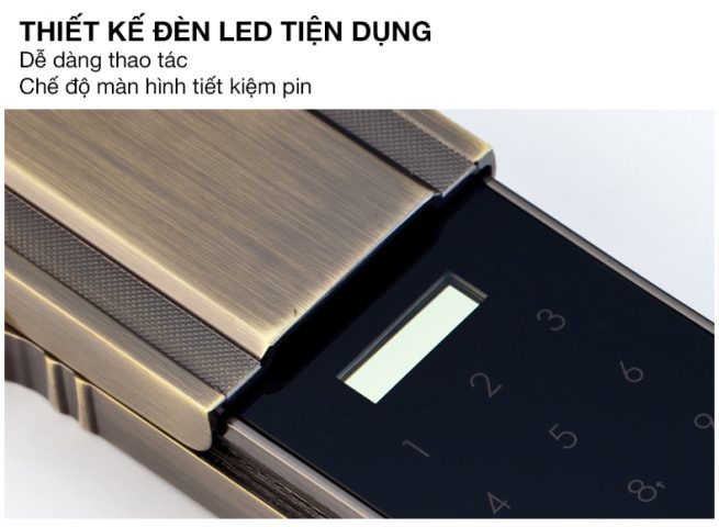 Khóa vân tay Tân Cổ Điển KAADAS 6001-9